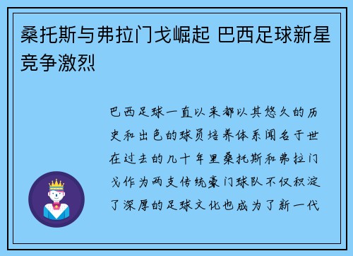 桑托斯与弗拉门戈崛起 巴西足球新星竞争激烈